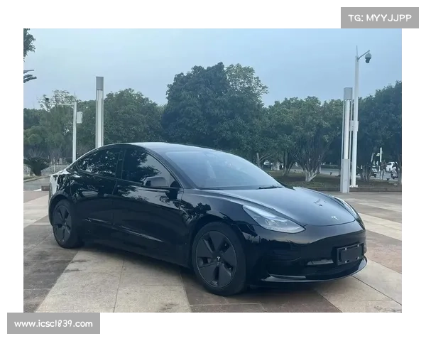 Model 3发布在即:盈利能力受关注 Model 3发布在即:盈利能力受关注